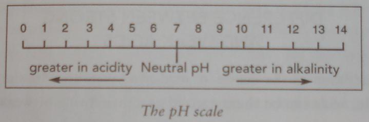 PH scale 20070409.JPG